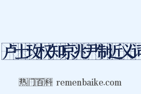卢士玫权知京兆尹制近义词是什么意思的图片